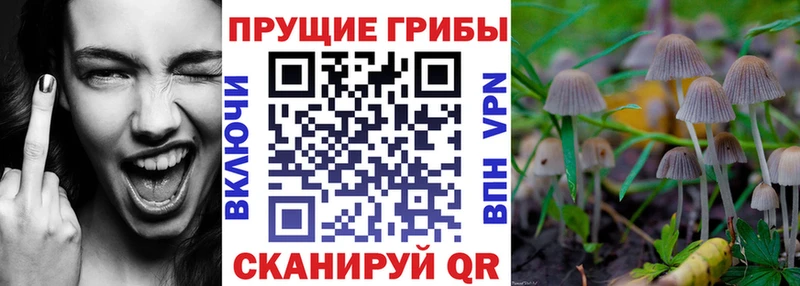 Псилоцибиновые грибы MAGIC MUSHROOMS  Свободный 